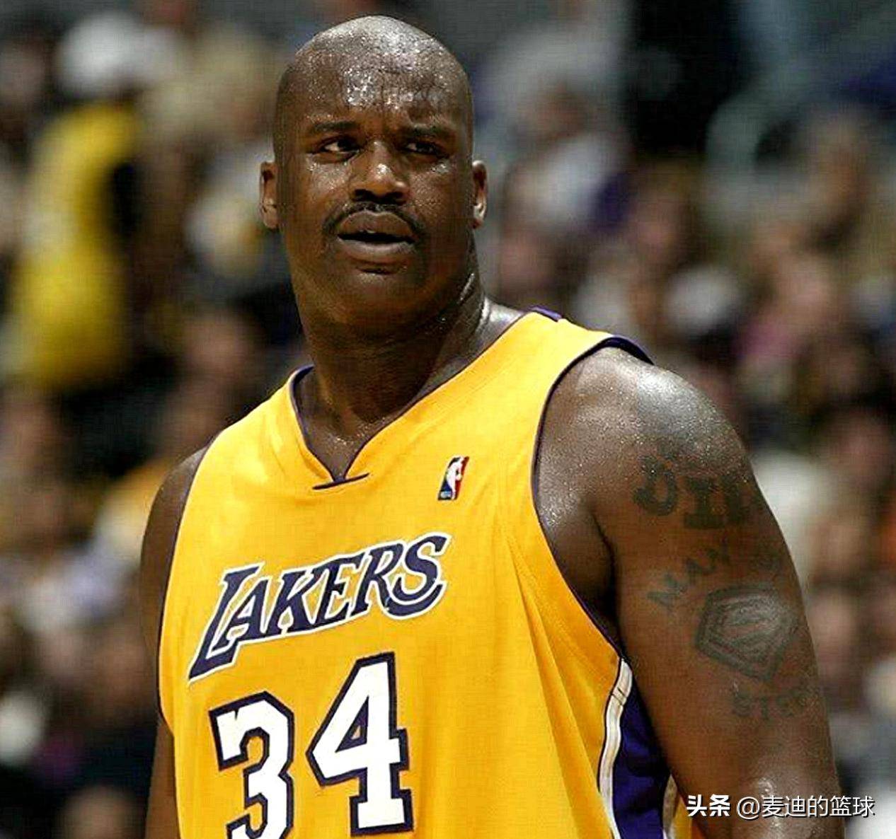 布全新会员 布全新会员